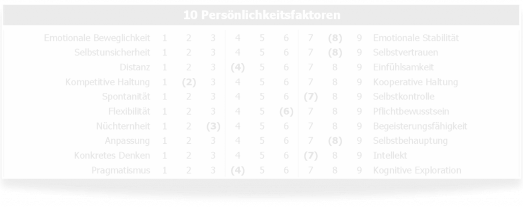permOt-Persönlichkeitstest: Warum dieser Persönlichkeitstest mehr Klarheit schafft als Standard-Analysen