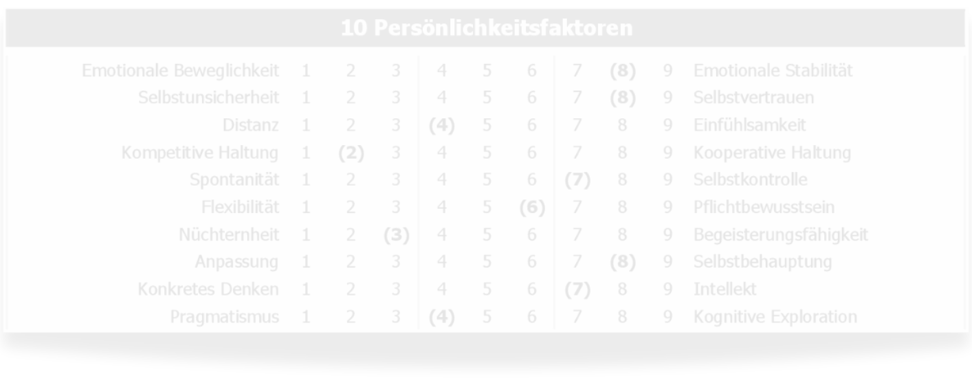permOt.8 - Ihr Persönlichkeitsspiegel