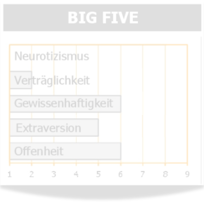 permOt-Persönlichkeitstest: Warum dieser Persönlichkeitstest mehr Klarheit schafft als Standard-Analysen