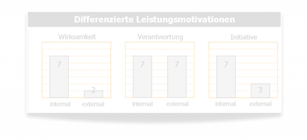 Die Differenzierten Leistungsmotivationen geben Auskunft über die Ausprägung und Beschaffenheit Ihres Antriebs